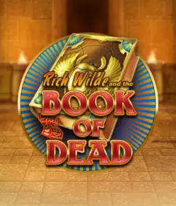 Embark on the thrilling world of Book of Dead Slot by Play'n GO, presenting vivid graphics of Rich Wilde’s adventurous journey through ancient Egyptian tombs and artifacts. Discover lost riches with engaging mechanics like free spins, expanding symbols, and a gamble option. Ideal for adventure enthusiasts with a desire for thrilling discoveries.